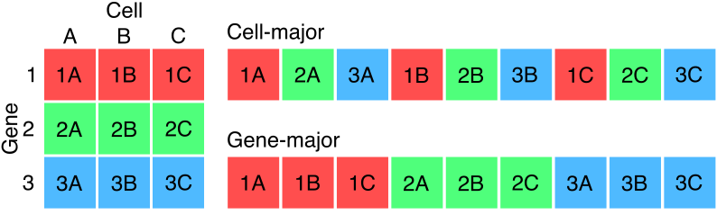 Figure 1: Intution for cell- versus gene-major storage formats. The data matrix is shown on the left with genes as rows, cells as columns, and entries with corresponding labels. Using cell-major format, accessing gene 1 (in red) requires reading across the entire dataset. Using gene-major order, this requires only a single efficient query of 3 adjacent entries. This illustration shows row- versus column-major order for storing general matrices, and serves as an analogy for sparse matrices.